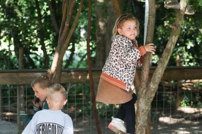 Leerkracht kindcentrum Immanuël in Steenwijkerwold (groep 7)