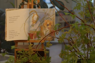 Leerkracht Kindcentrum Bernhard in Steenwijk (groep 7/8)